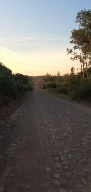 VENDO JUNTO 20 HECTAREA EN JUAN OELUARI LA DIMENSION ES 250.DE.FRENTE.X.1000.DE.FONDO — foto 3