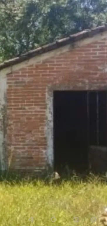 SON TERRENOS — foto 2