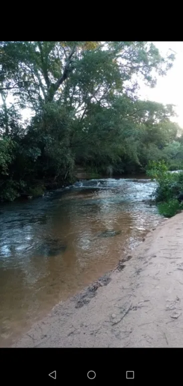 SON TERRENOS — foto 3