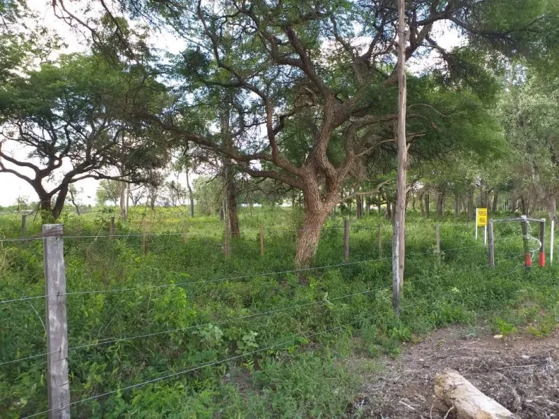 Venta Hermoso Lote en San Bernardino, Paraguay. (ID695) — foto 2