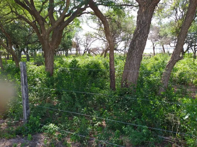 Venta Hermoso Lote en San Bernardino, Paraguay. (ID695) — foto 3