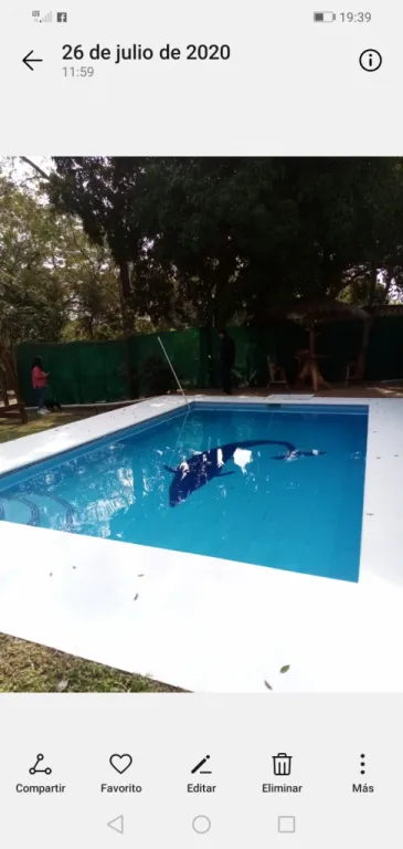 QUİNCHO SON 3 HECTAREA — foto 3