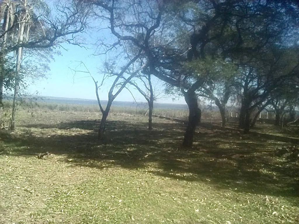 SAN BER – SUNSET HILLS: 5.650M2 S EL LAGO, IMPERDIBLE OPORTUNIDAD!! 250 USDM2. — foto 3