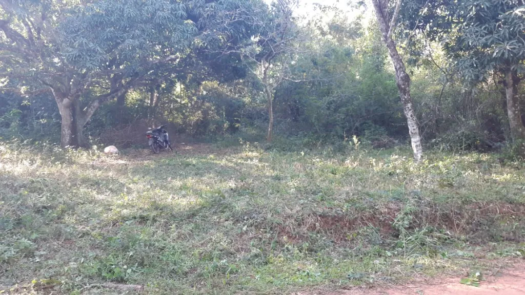 Vendo terreno titulado, con arroyo,de un solo dueño, todo al dia Conversable. — foto 3