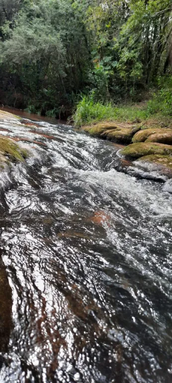 Oferto 3 hectáreas en Cordillera Piribebuy — foto 2