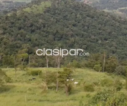 SON 400 HECTAREA SUPERFİCİE DE TERRENO 400000M2 SUPERFİCİE CONSTRUIDA 400000M2 — foto 3