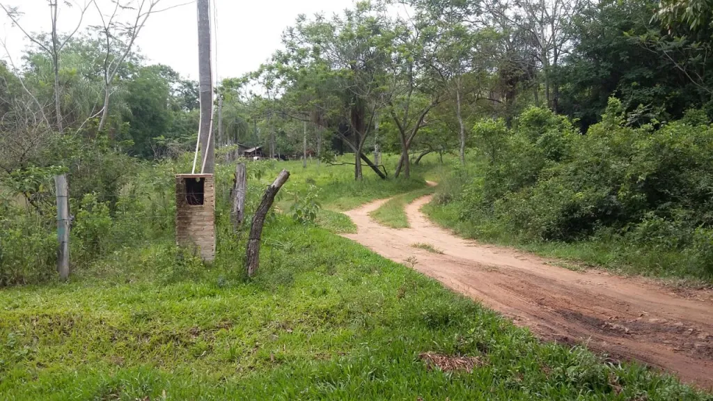 LUQUE TARUMANDY — foto 3