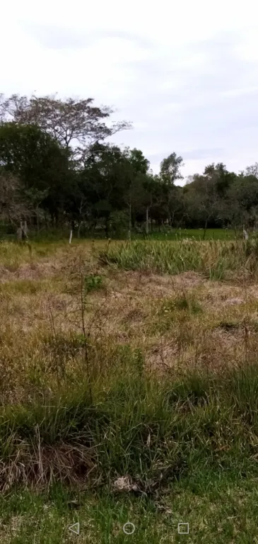 SUPERFİCİE DE TERRENO 100M2 ES 12.X.30 Y Sİ ES 16.X.30 ES 400M2 — foto 2