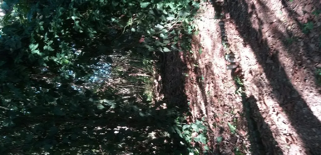 Vendo 5 terrenos en el Peñon 2 — foto 3