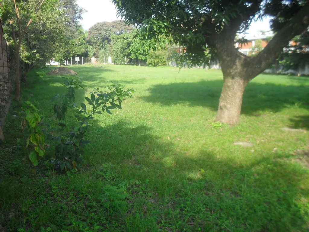 VENTA DE TERRENO ZONA ÑU GUASU — foto 3