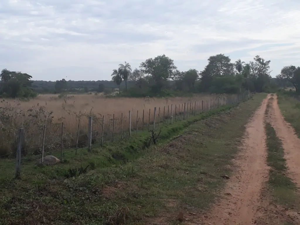 LOMA GRANDE – ALTOS, MARAVILLOSAS 40 HAS, UBICACIÓN IDEAL, 50.000.000 GSHA — foto 2