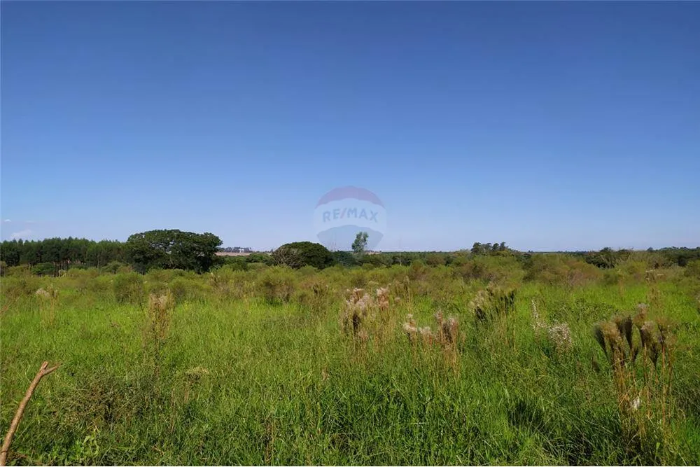 LOTE DE 5 HAS. EN HERNANDARIAS 800,000,000 ₲ — foto 2