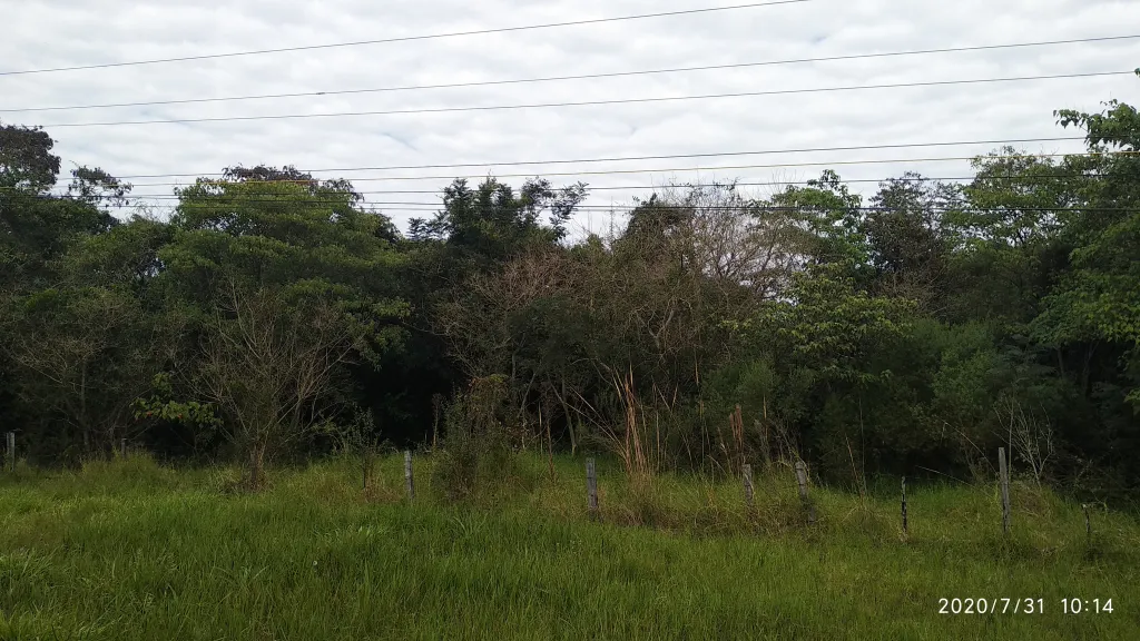 Vendo Terreno de 8 has. 144 mts. sobre Ruta 2 en el KM 93,80 — foto 2