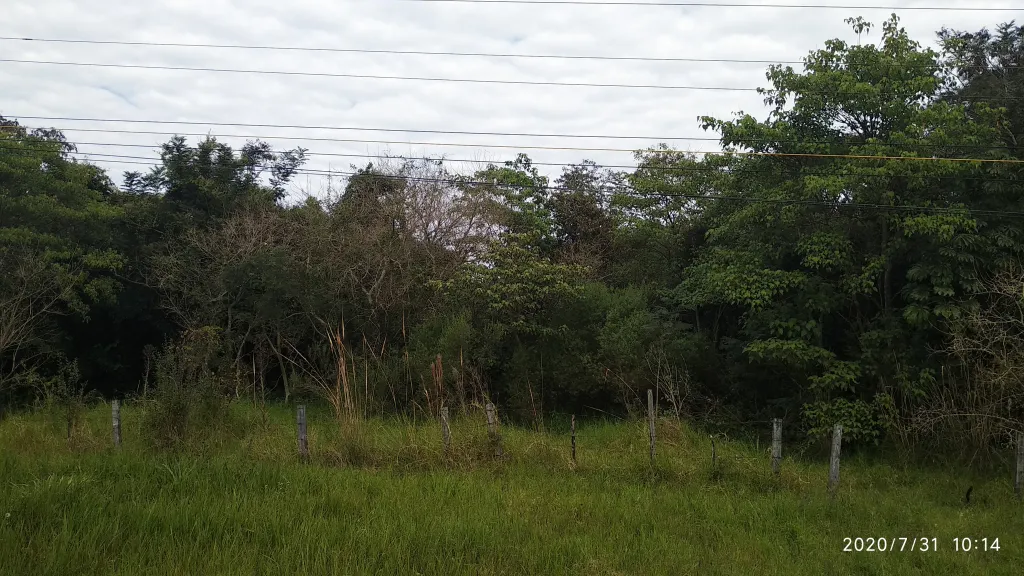 Vendo Terreno de 8 has. 144 mts. sobre Ruta 2 en el KM 93,80 — foto 3