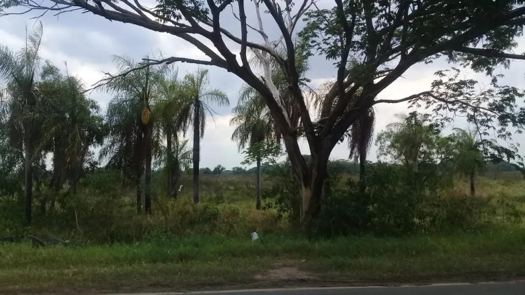 SUPERFICIE DE TERRENO 650 HA SUPERFICIE CONSTRUIDA 650000M2 SUPERFICIE DE TERRENO 650000M2 — foto 3