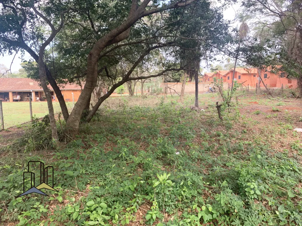 Rematamos terrenos en luque! — foto 2