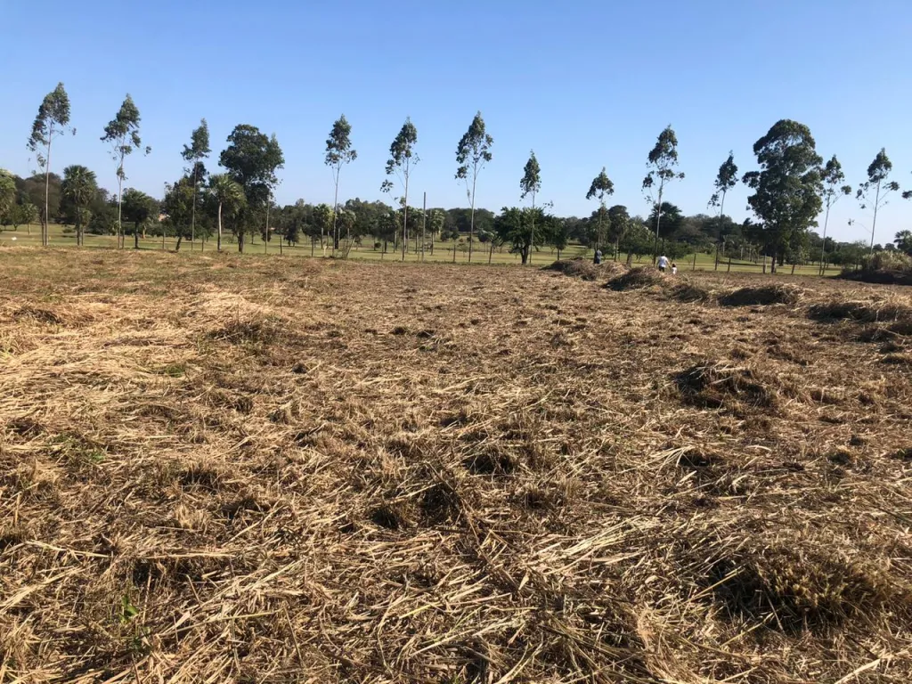 VENDO TERRENO EN SURUBII DE 2.300 M2 — foto 3