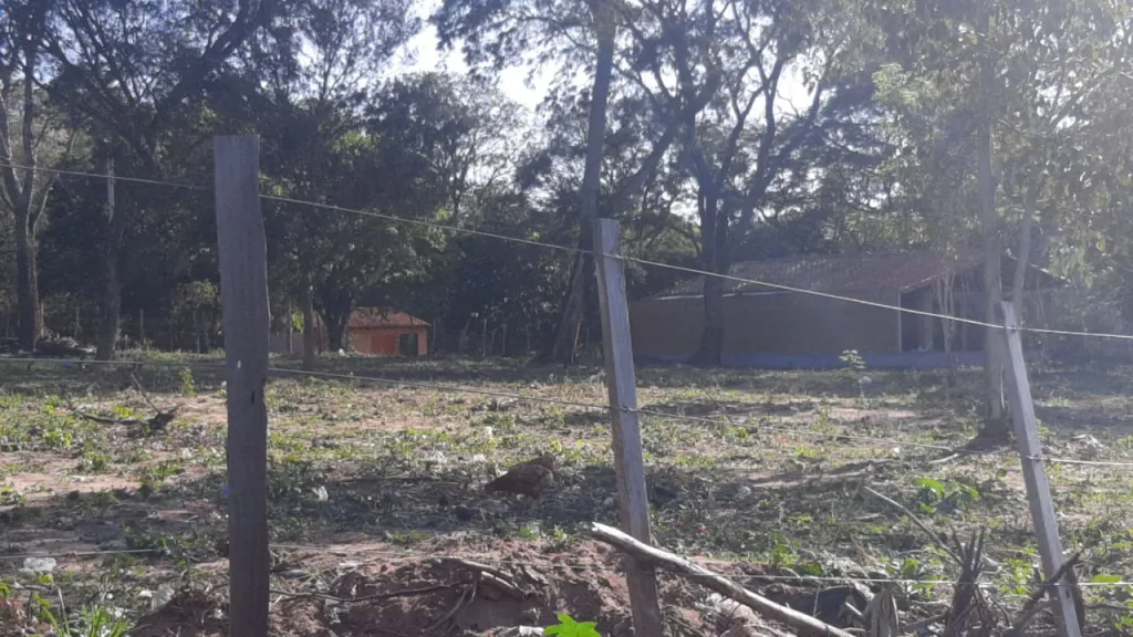 Oferto 10 Lotes en Limpio — foto 3