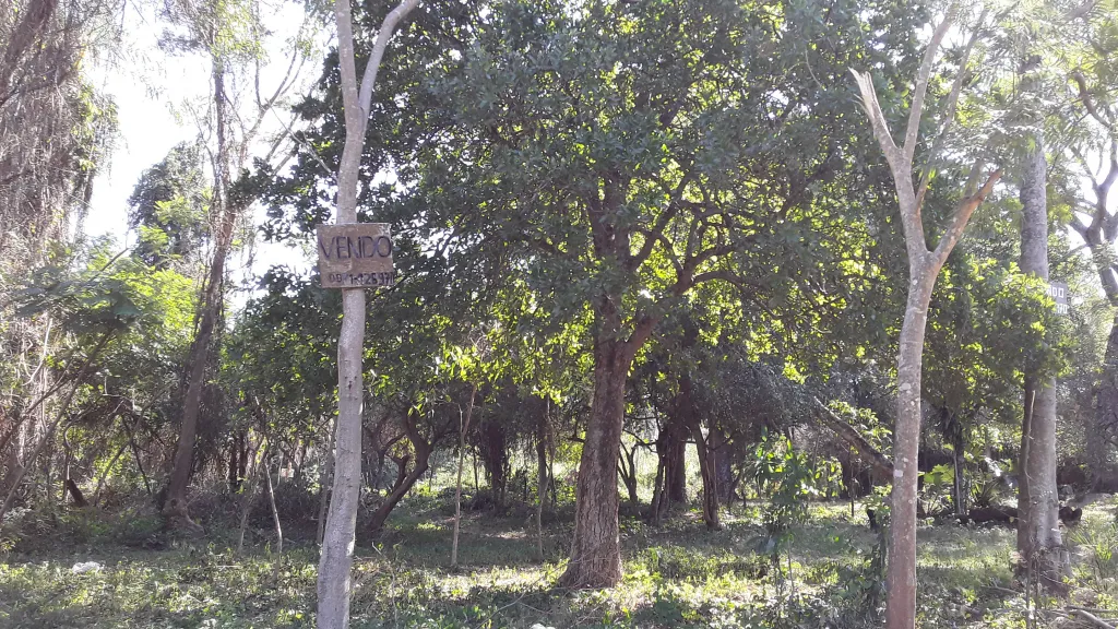 Vendo Terreno En San Bernardino. — foto 2