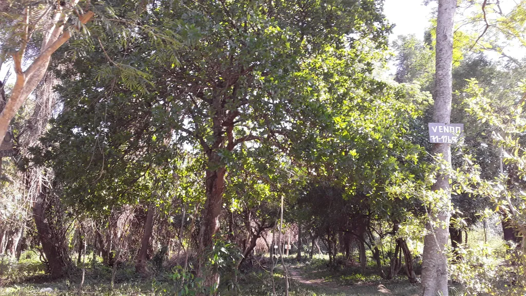 Vendo Terreno En San Bernardino. — foto 3