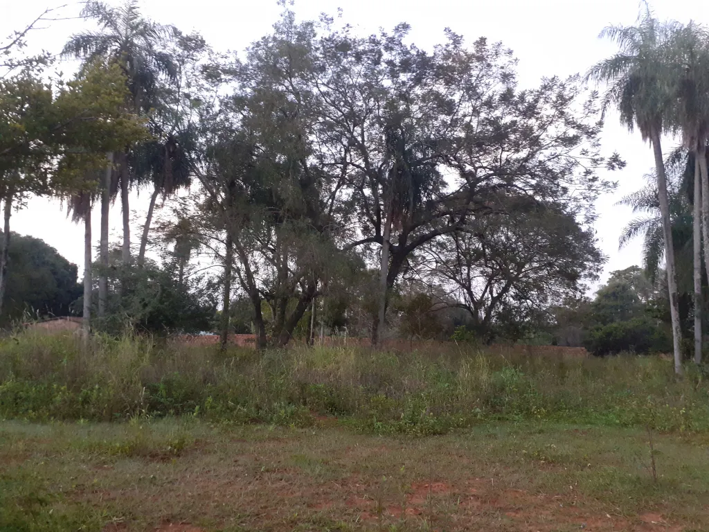 VENDO TERRENO — foto 2