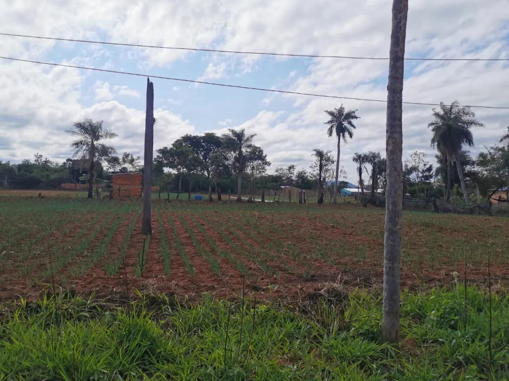 Terreno - Venta -HERMOSO TERRENO EN ITAUGUA PARA INVERSIÓN 4896 M2 — foto 3