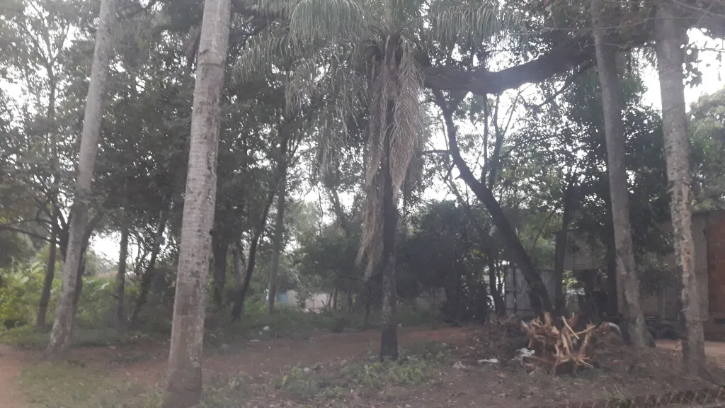 Para su casa quinta!!!! — foto 3