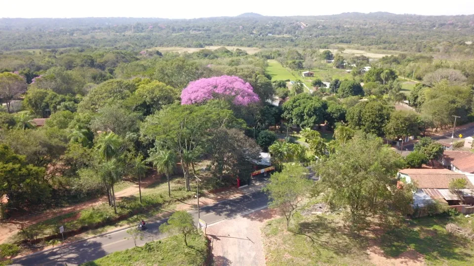Lotes sobre Ruta y empedrado en Capiatá zona Piroy — foto 2
