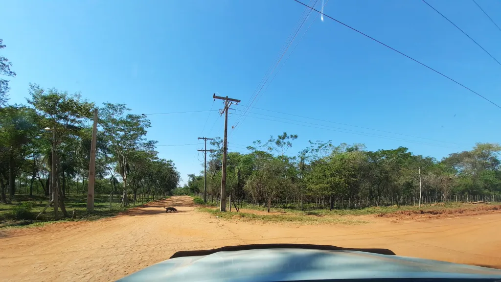 Terreno en tarumandy Luque — foto 2