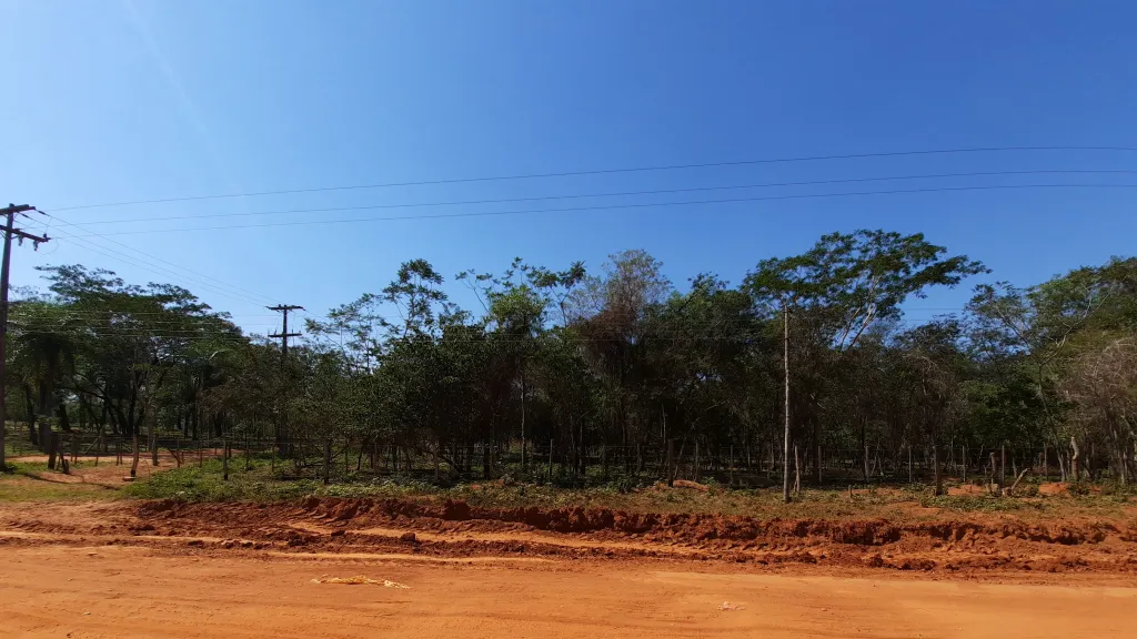 Terreno en tarumandy Luque — foto 3