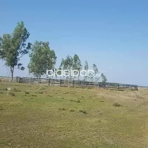 OFERTA!! 288 HECTÁREAS EN ARROYOS Y ESTEROS — foto 2