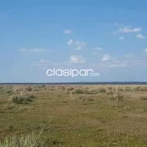 OFERTA!! 288 HECTÁREAS EN ARROYOS Y ESTEROS — foto 3