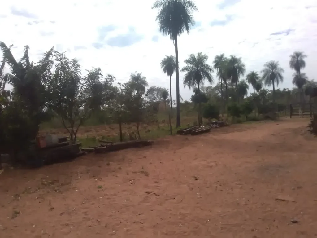 Terreno 7 hectareas en yaguaron — foto 2