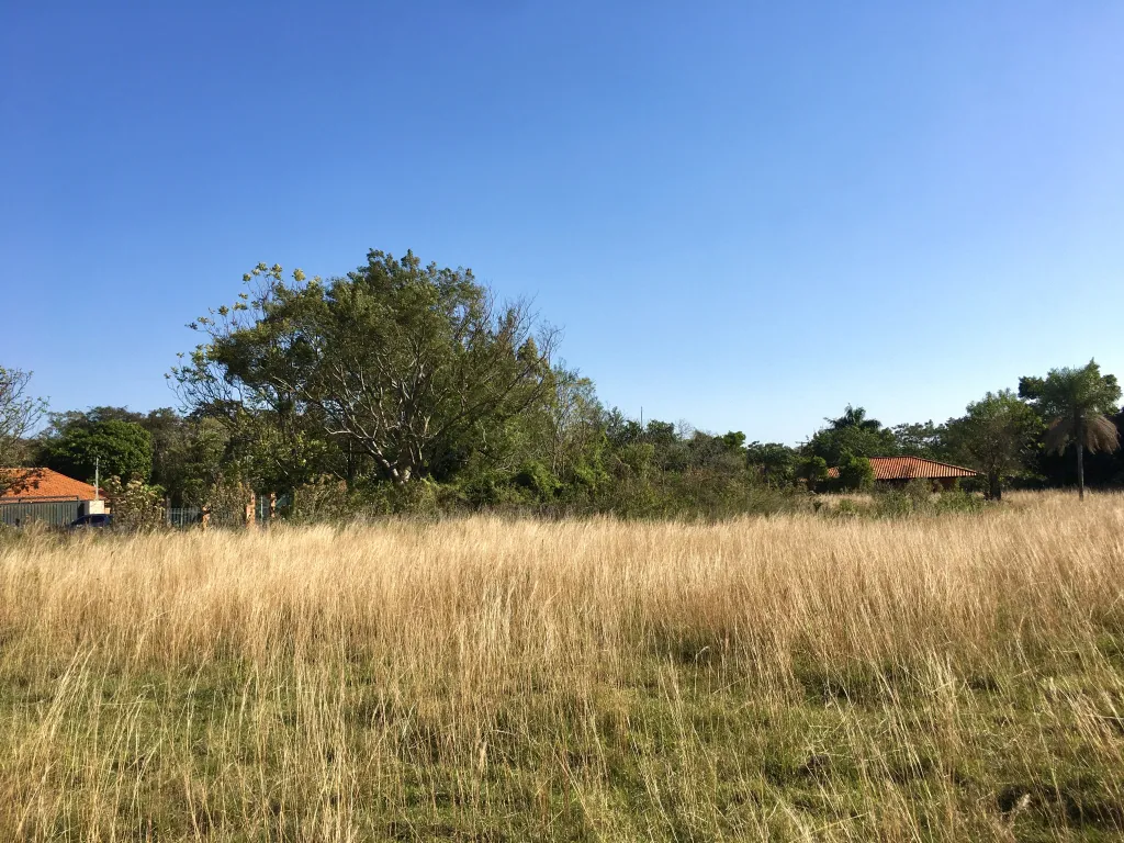 VENDO HERMOSO TERRENO A 300mts DEL LAGO - SAN BERNARDINO — foto 2