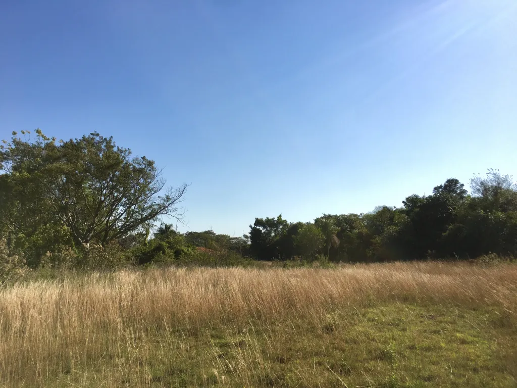VENDO HERMOSO TERRENO A 300mts DEL LAGO - SAN BERNARDINO — foto 3