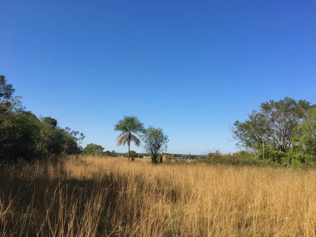 VENDO HERMOSO TERRENO A 300 mts DEL LAGO - SAN BERNARDINO — foto 2