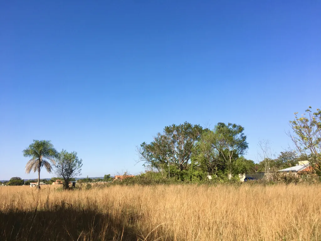 VENDO HERMOSO TERRENO A 300 mts DEL LAGO - SAN BERNARDINO — foto 3