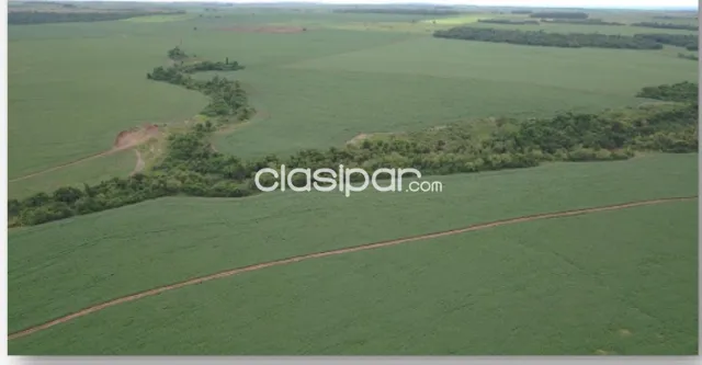 ZONA CAPITÁN BADO ESTABLECIMIENTO AGRÍCOLA-GANADERA 2.184 HAS — foto 2