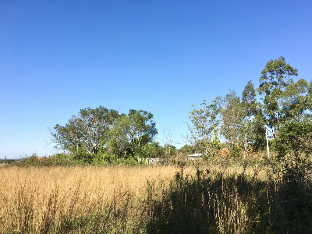 VENDO 2 HERMOSOS TERRENOS A 300 mts DEL LAGO - SAN BERNARDINO — foto 3