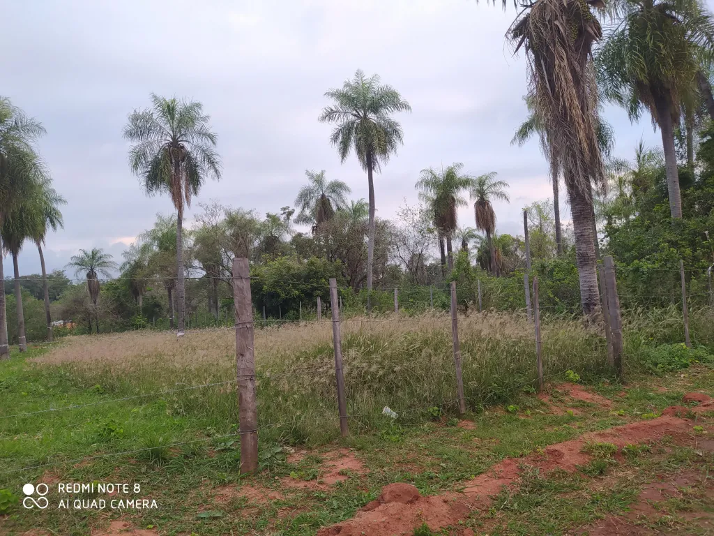 TERRENO EN LUQUE MORA CUE — foto 2