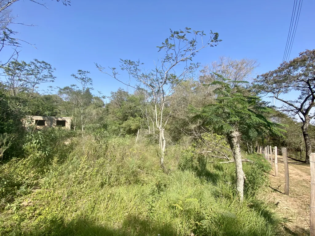 VENDO IMPORTANTE PROPIEDAD EN ALTOS, ZONA POSADA TATANO. — foto 2