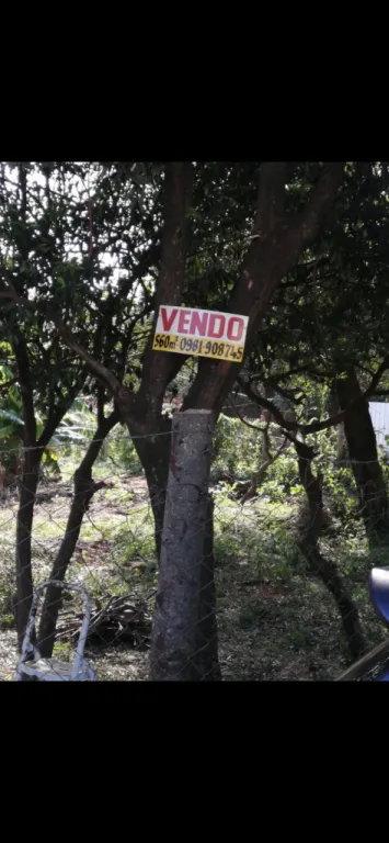 Terreno Esquina San Lorenzo — foto 2