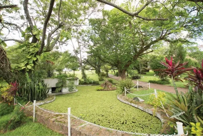 Jardín de la Paz, Lambare — foto 2