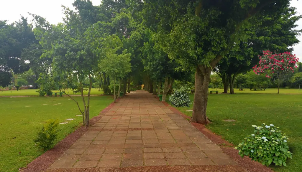 CEMENTERIO PRIVADO JARDÍN PARAÍSO, LUQUE — foto 3