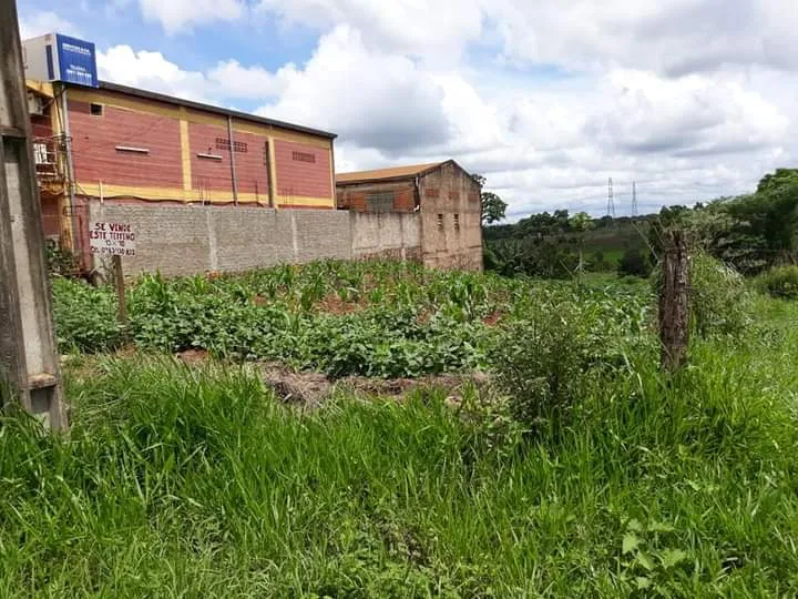 Terreno en Minga Guazu. Sobre Ruta internacional — foto 2