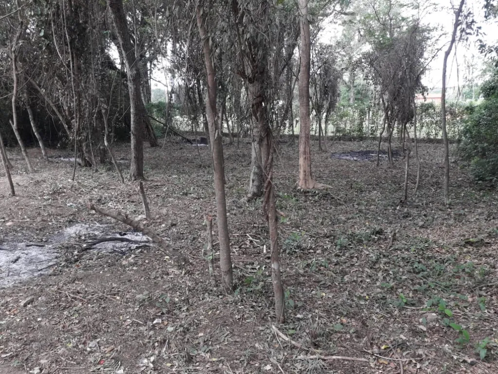 VENDO HERMOSO TERRENO EN SAN BERNARDINO — foto 2