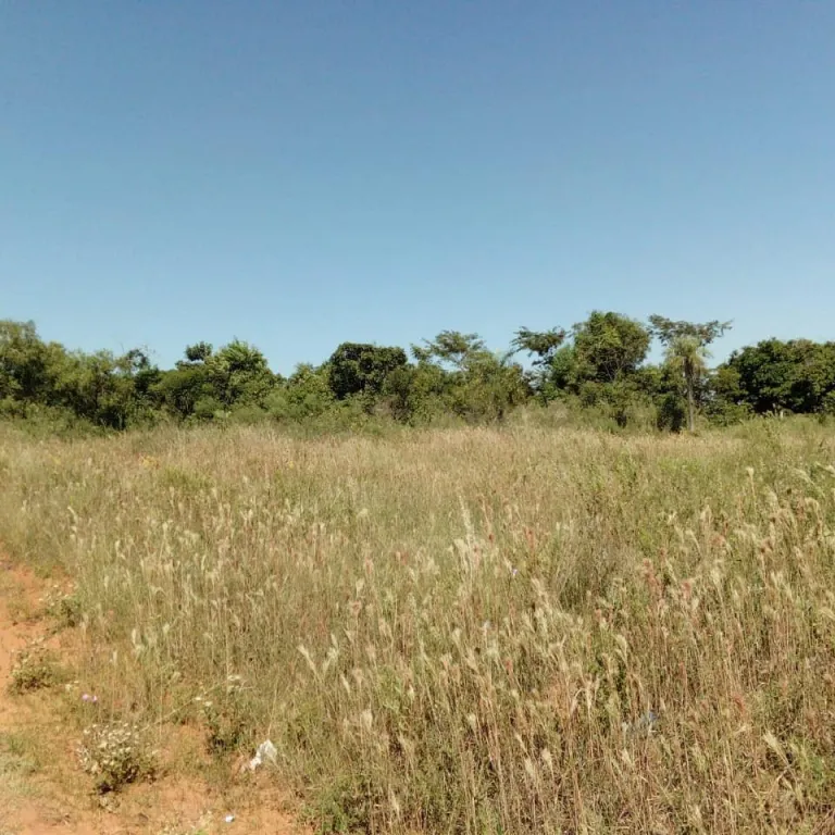 A LA VENTA TERRENOS A 500 MTS RUTA LUQUE-SANBER — foto 2