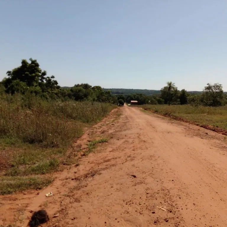 A LA VENTA TERRENOS A 500 MTS RUTA LUQUE-SANBER — foto 3