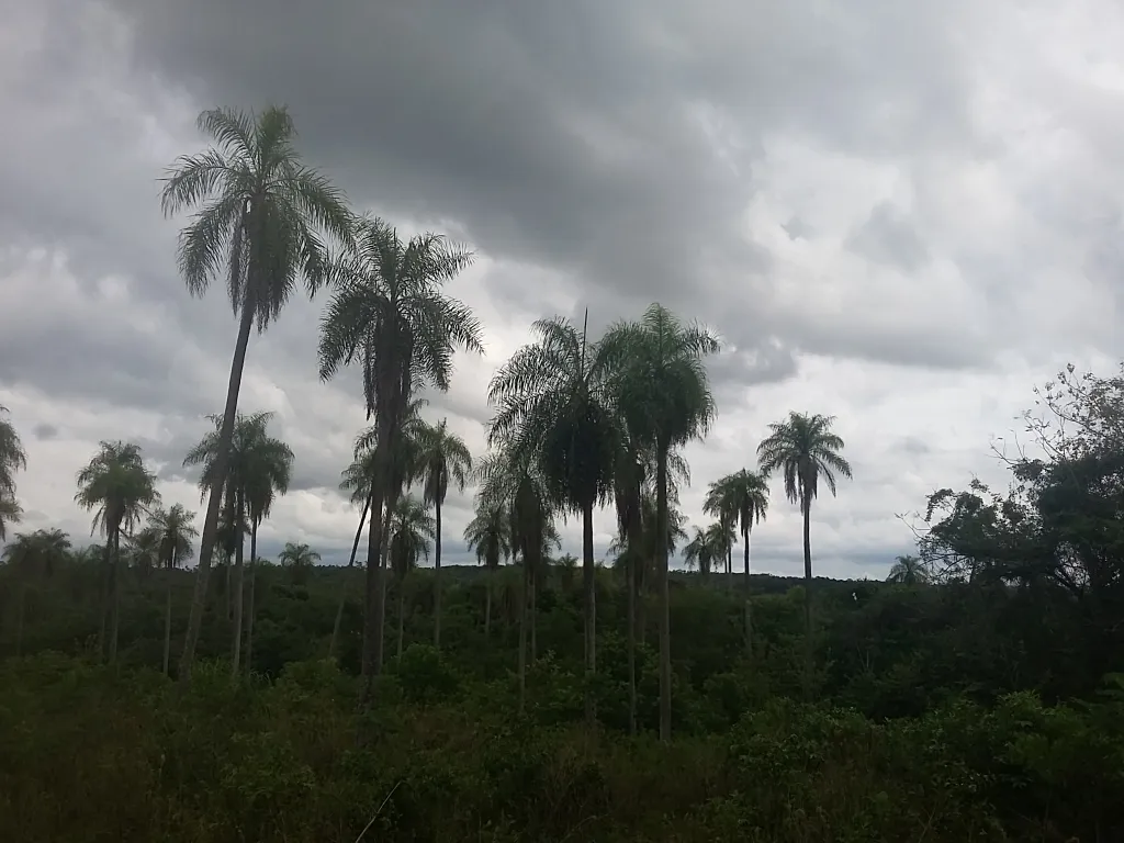 Atyrá lotes para quinta — foto 3