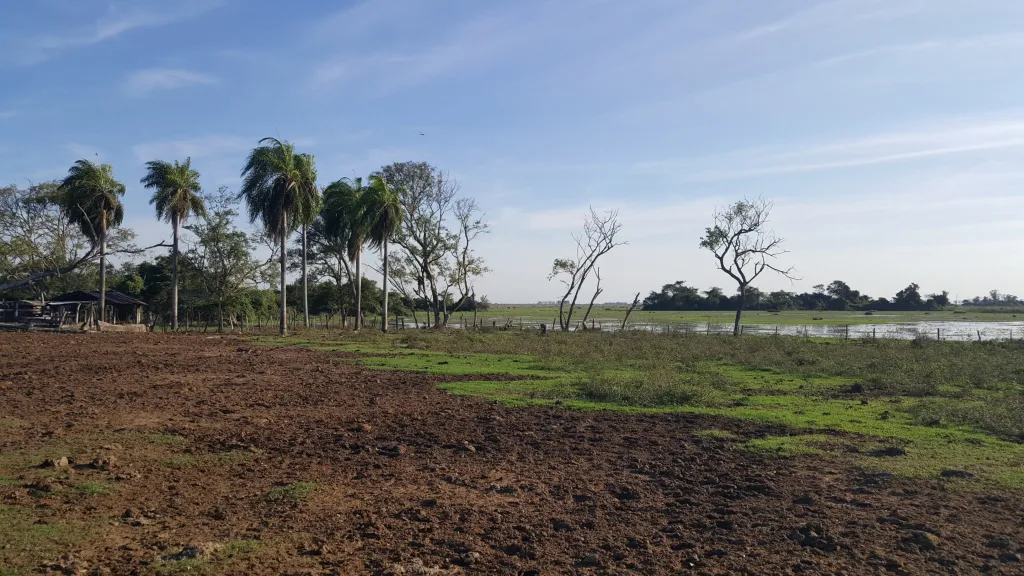 Vendo 200Has sobre Ruta 3 Km103 — foto 2